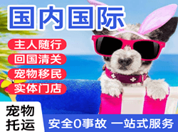 淮安航空空运国际宠物托运 【国